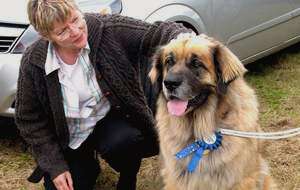 Image courtesy of Norman and Trud Prelypchan