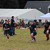 SHG Photo