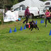 SHG Photo