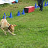 SHG Photo