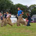 SHG Photo