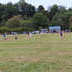 SHG Photo