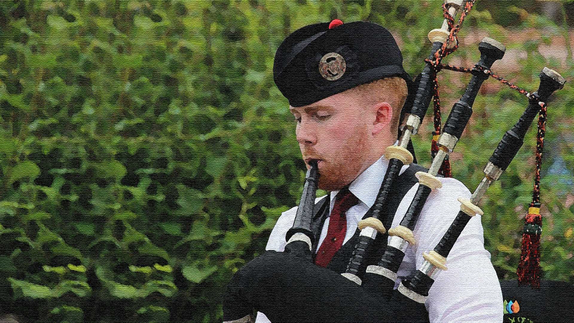 piper