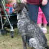 SHG Photo