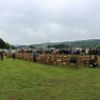 SHG Photo