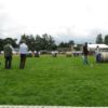 SHG Photo