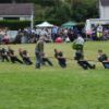 tug o' war photo