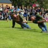 SHG Photo
