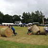 SHG Photo