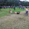 SHG Photo