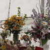 SHG Photo
