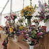 SHG Photo