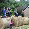 SHG Photo