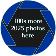 Click or tap here for 100s more photos from the 2025 Gathering