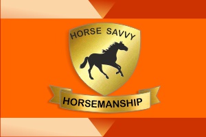 Horse savvy - Natural Horsemanship Instruction